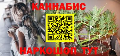 Альфа ПВП Сланцы