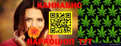 Альфа ПВП Сланцы
